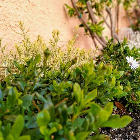 La Maisonette - Centro Storico Ferienhaus La Maddalena (Sassari)
