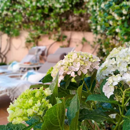 La Maisonette - Centro Storico لا ماداّلينا