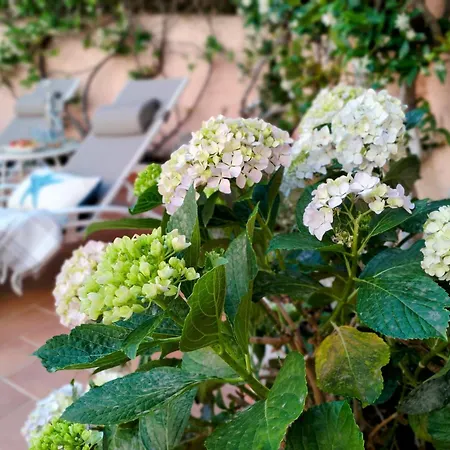 بيت للعطل La Maisonette - Centro Storico